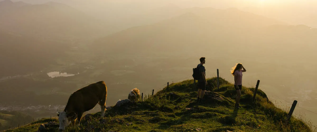 Wandern_Kitzbuheler_Horn_Sommer_2023_c_Kitzbuhel_Tourismus_15