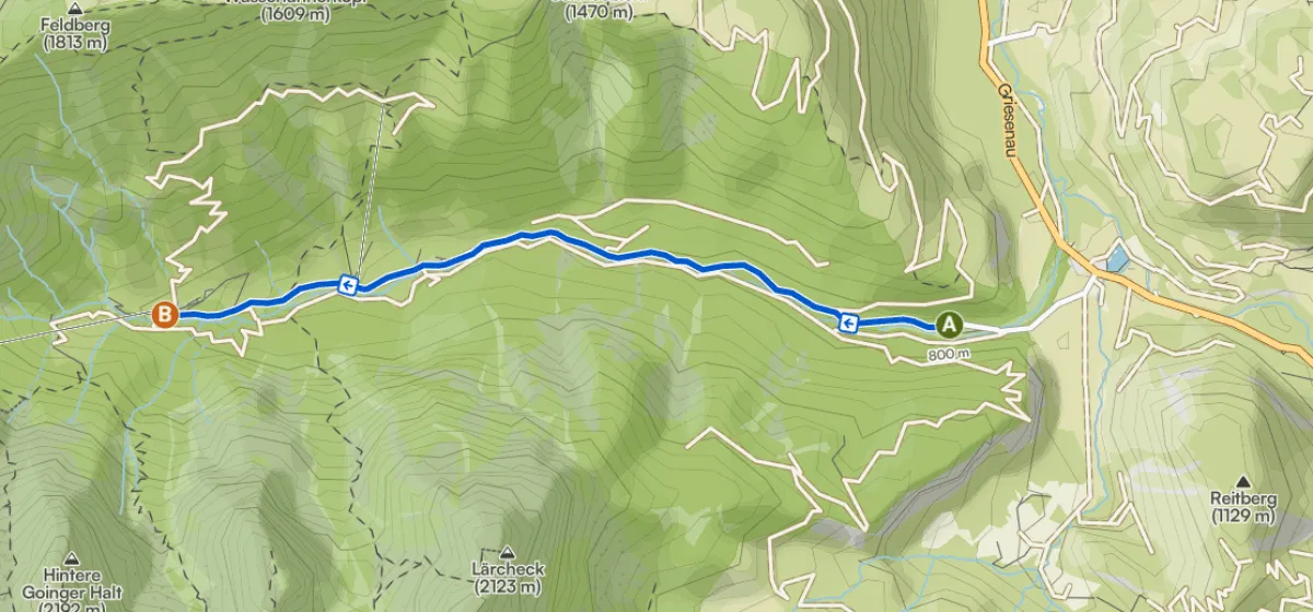 Segment2_Mautstrasse_Giesner_Alm